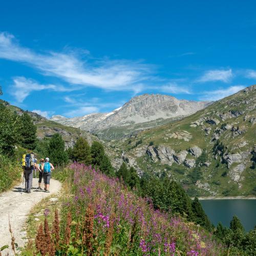 bd_pnv_randonneurs_en_direction_du_fond_daussois_c_chloe_tardivet_-_parc_national_de_la_vanoise.jpg