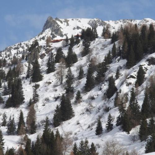 bd_pnv_zone_de_larpette_vue_du_bas_c_j._coulombier_-_parc_national_de_la_vanoise.jpg