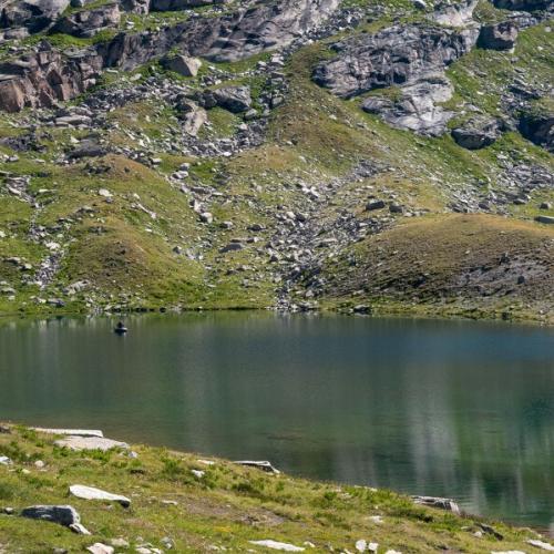 campagne_de_prelevements_au_lac_merlet_en_coeur_de_parc_national_de_la_vanoise_pour_le_reseau_lacs_sentinelles_c_alice_leroy_-_parc_.jpg