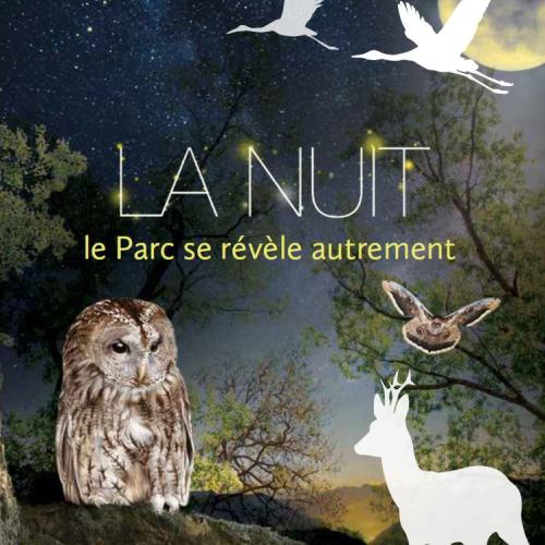 vignette_couverture_la_nuit_le_parc_se_revele_autrement.jpg