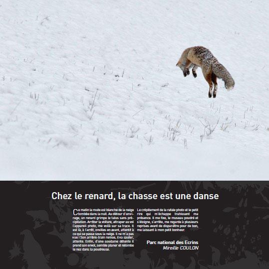 chez-le-renard-la-chasse-est-une-danse_imagelarge.jpg