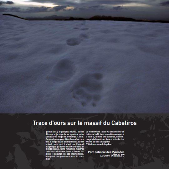 trace-d-ours-sur-le-massif-de-cabaliros_imagelarge.jpg