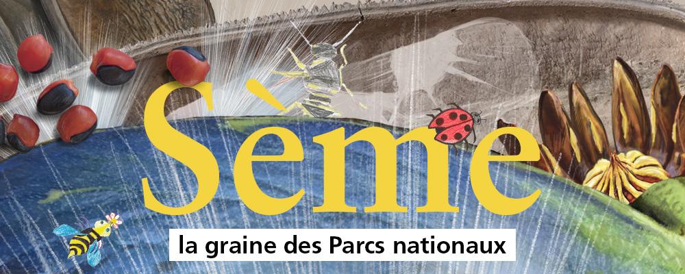 Newsletter Sème