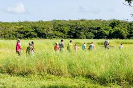 bd_png_atelier_plantation_de_mangles-medailles_golconde_c_dr_parc_national_de_la_guadeloupe.jpg