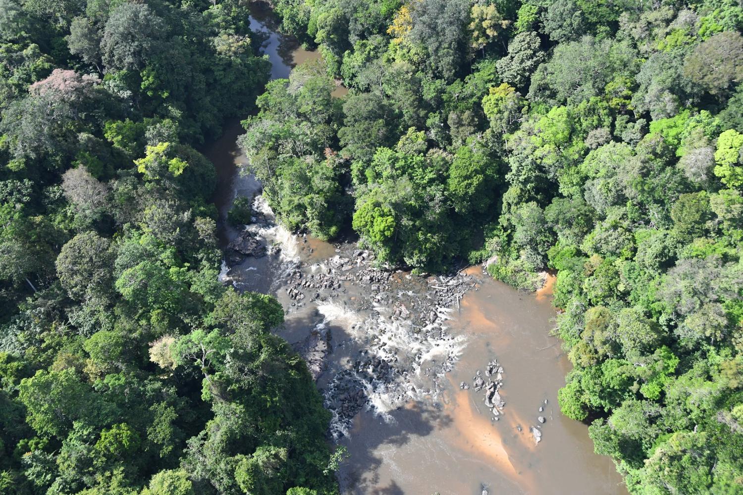 bd_pag_gros_saut_c_dr_parc_amazonien_de_guyane.jpg