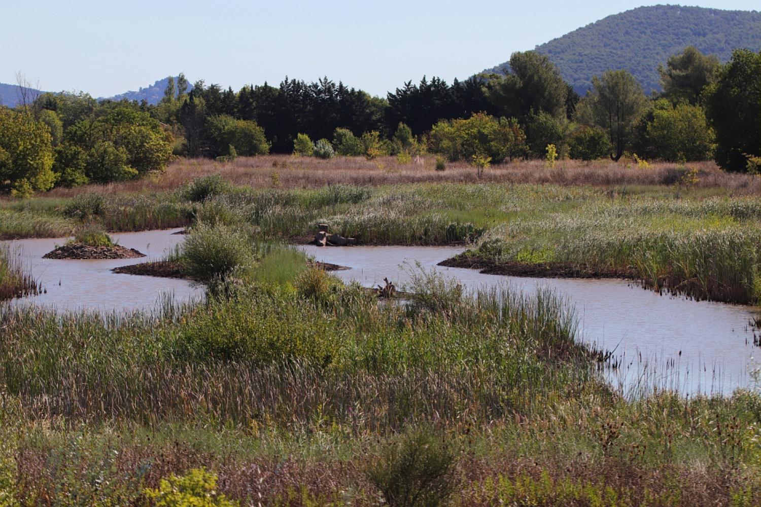 bd_pnpc_parc_nature_du_plan_de_la_garde_c_muriel_gasquy_-_parc_national_de_port-cros.jpeg