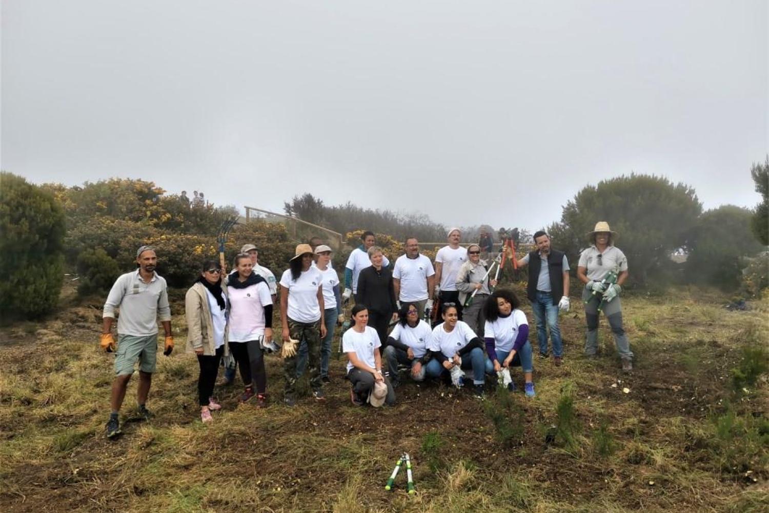 bd_pnrun_benevoles_chantier_participatif_du_maido_c_dr_parc_national_de_la_reunion.jpg