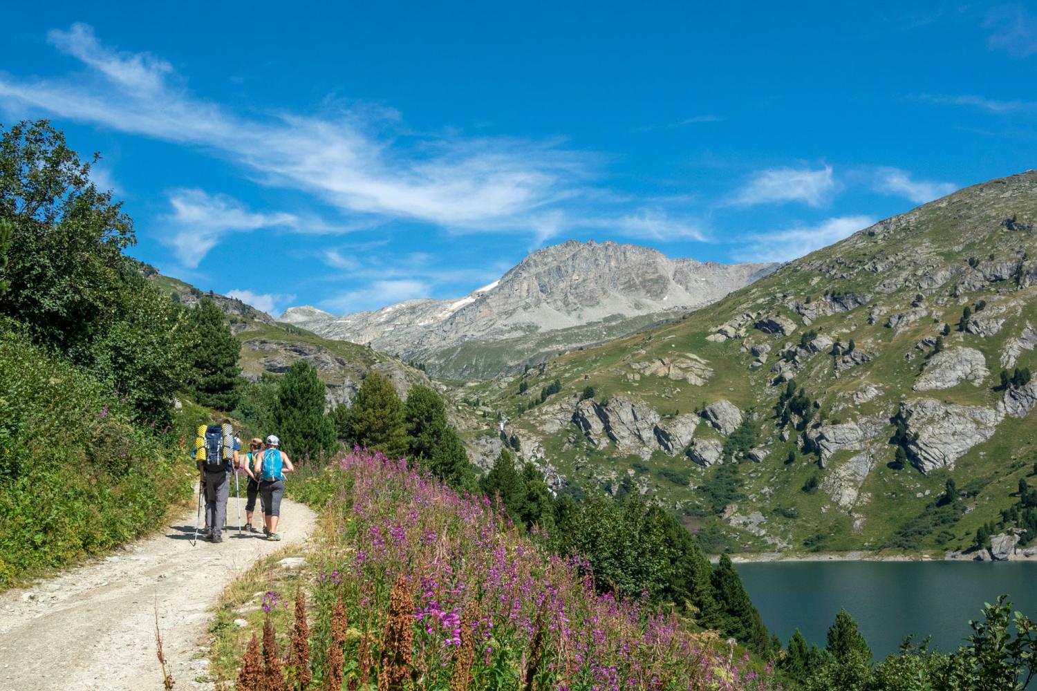 bd_pnv_randonneurs_en_direction_du_fond_daussois_c_chloe_tardivet_-_parc_national_de_la_vanoise.jpg