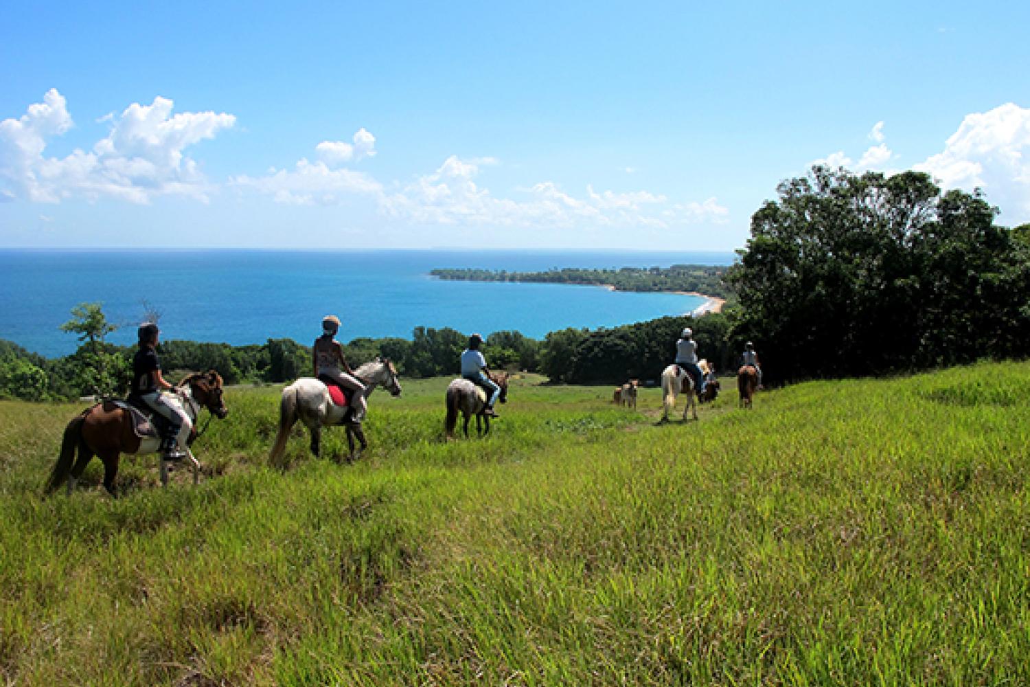 didier-laurent_aubert_daaf_guadeloupe_-_parc_national_de_la_guadeloupe-1_bd.jpg