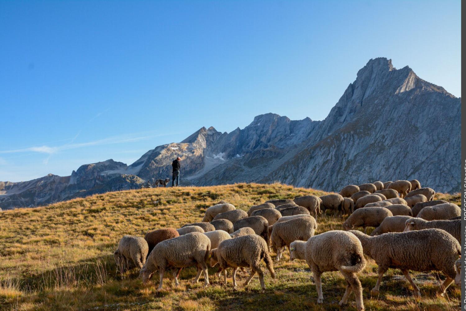 3pnv023875-pn-vanoise-bregeon_sebastien-900px.jpg